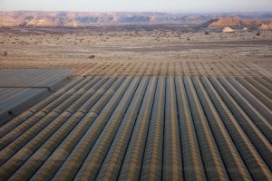 Desert farming